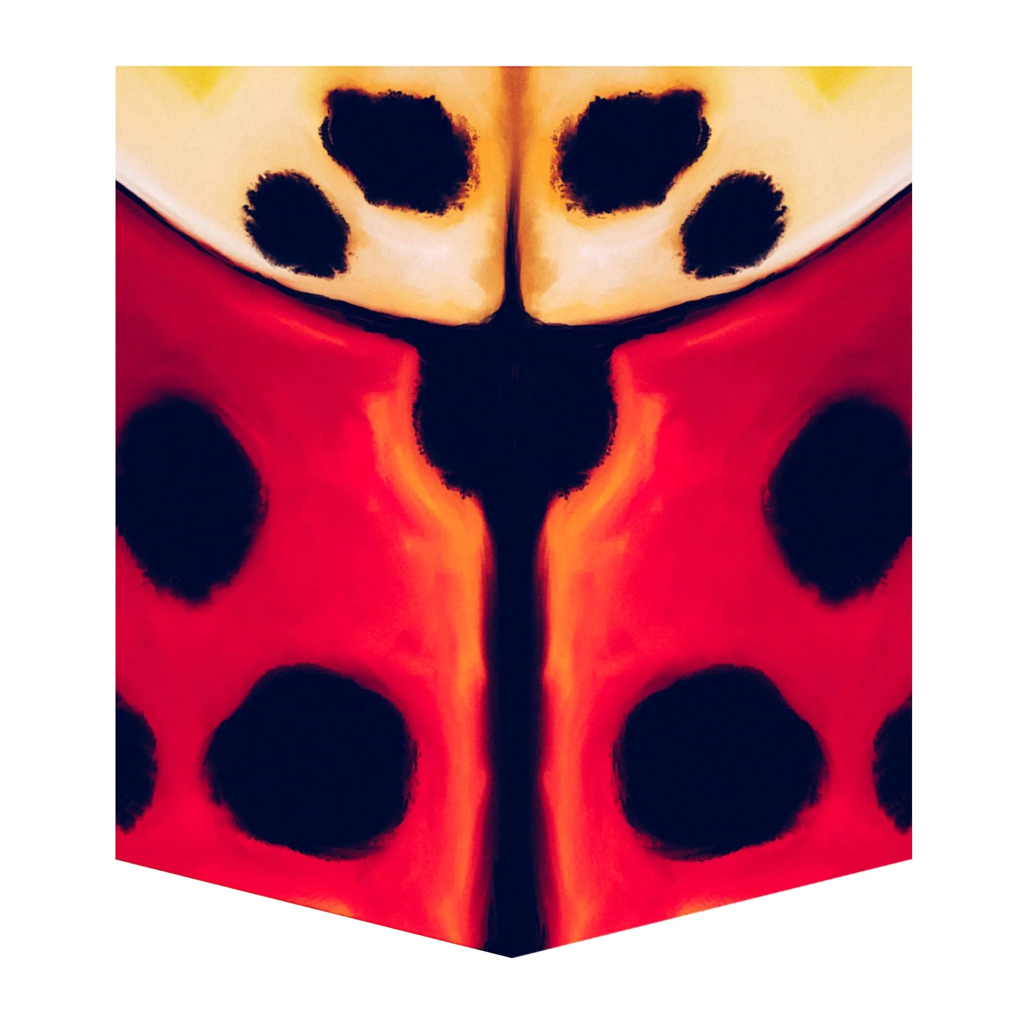 Lady Beetle Kid's Pocket Tee